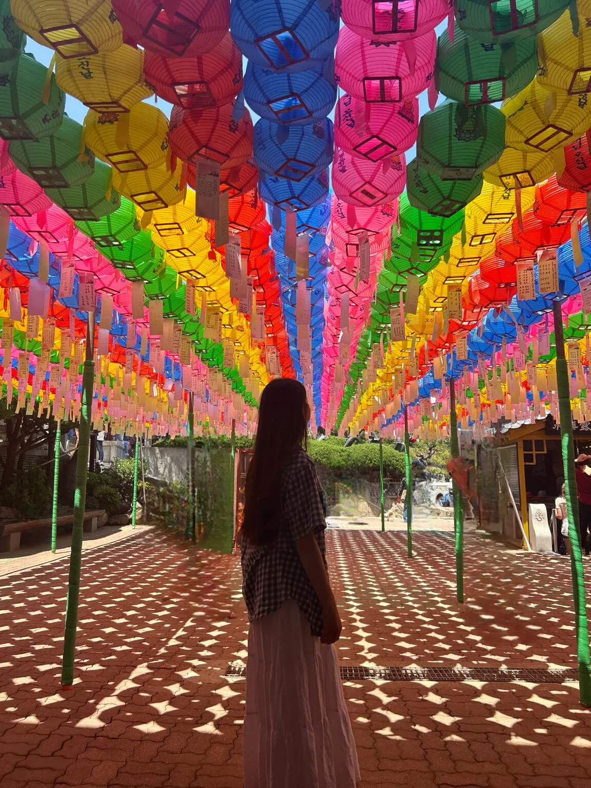 me under coloured lanterns