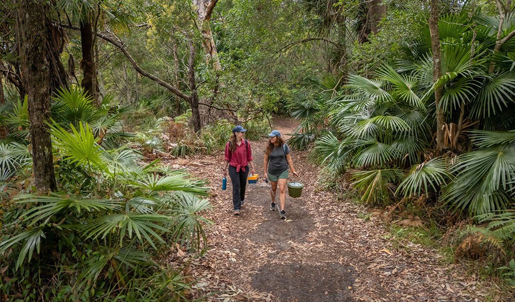 bonnie vale bush walk